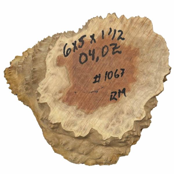 Red Mallee Burl Cookies - 6  x 5  x 1-1 2  #1067 Supply